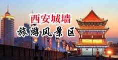 啊啊啊啊啊视频网站中国陕西-西安城墙旅游风景区